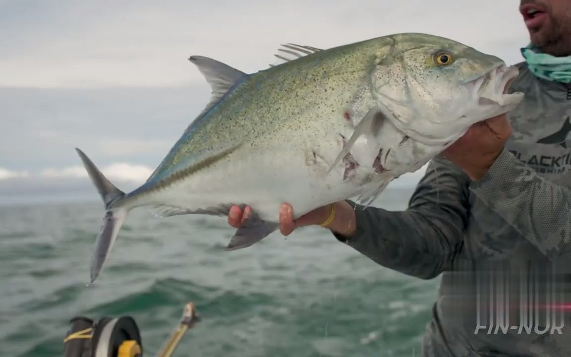 参加巴拿马的丝帆鱼垂钓大奖赛,看看最后小哥钓上了多少鱼!