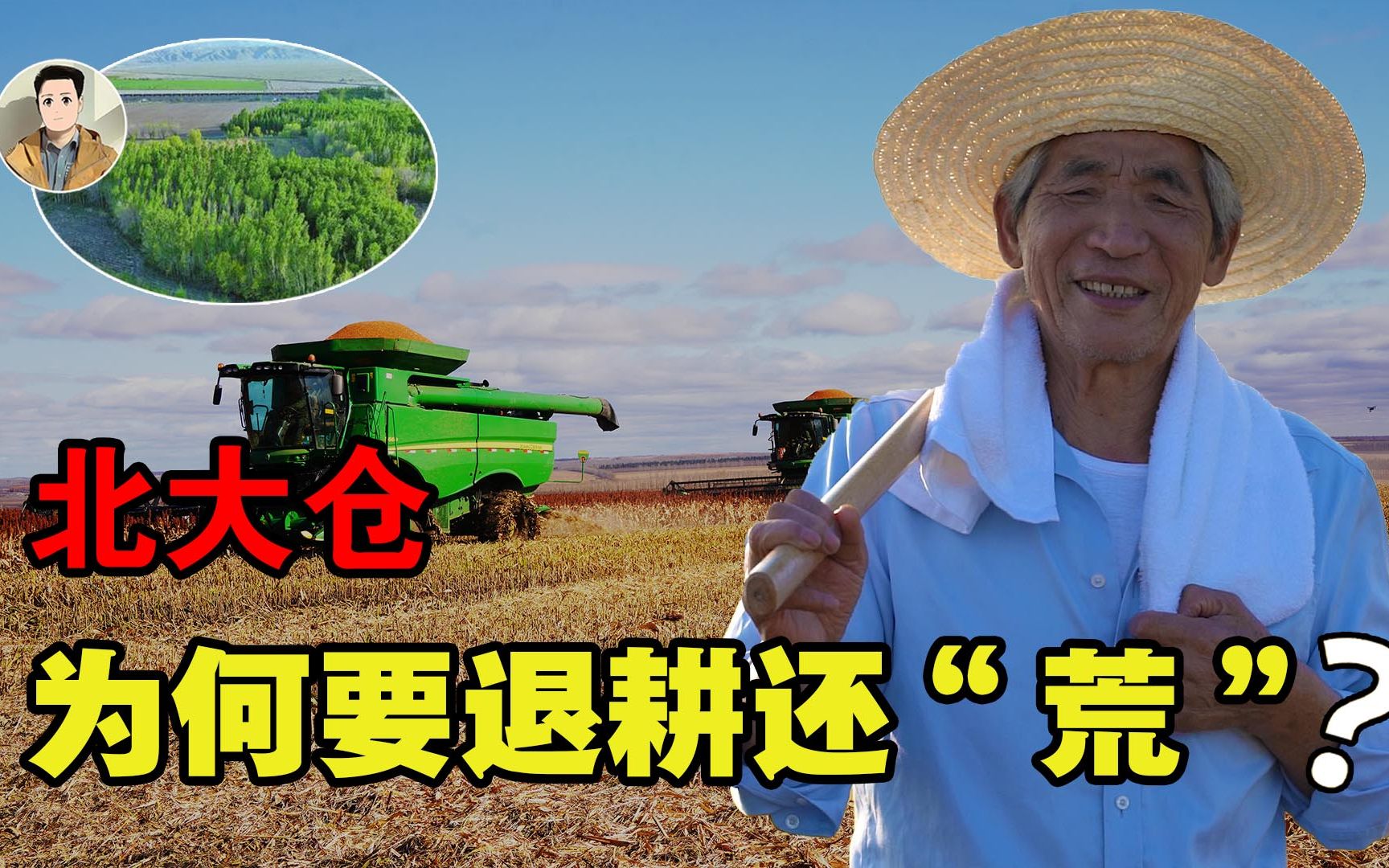 辛苦开垦半世纪,从北大荒变成北大仓,为何如今要退耕还"荒"?