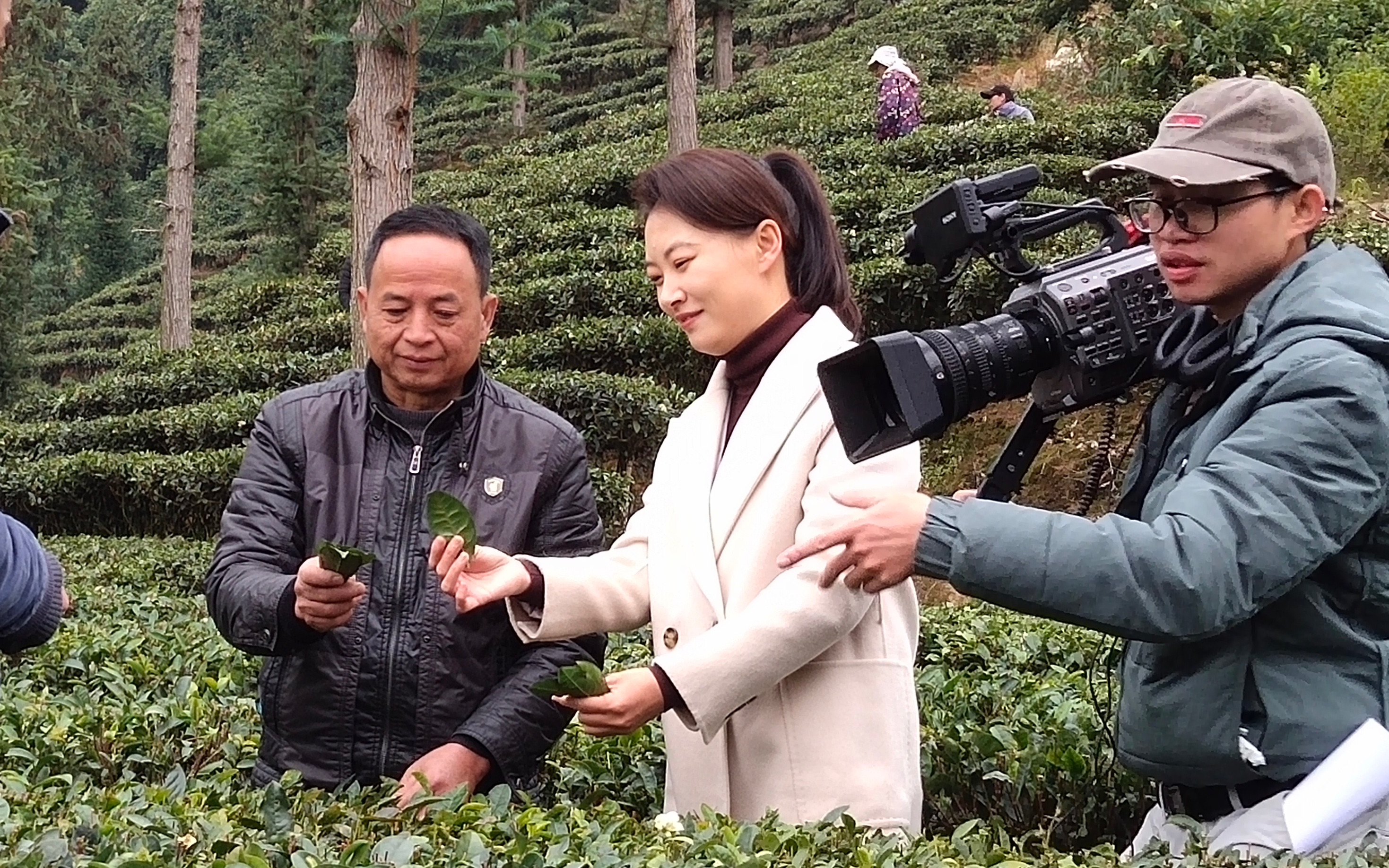 记住乡愁第九季图片