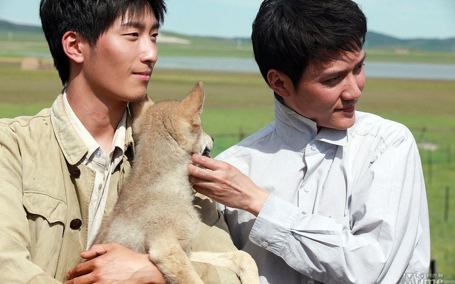 【狼图腾】片段之冯绍峰窦骁掏狼崽儿