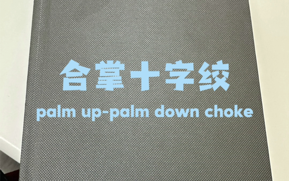 合掌十字绞(palm uppalm down choke)哔哩哔哩bilibili