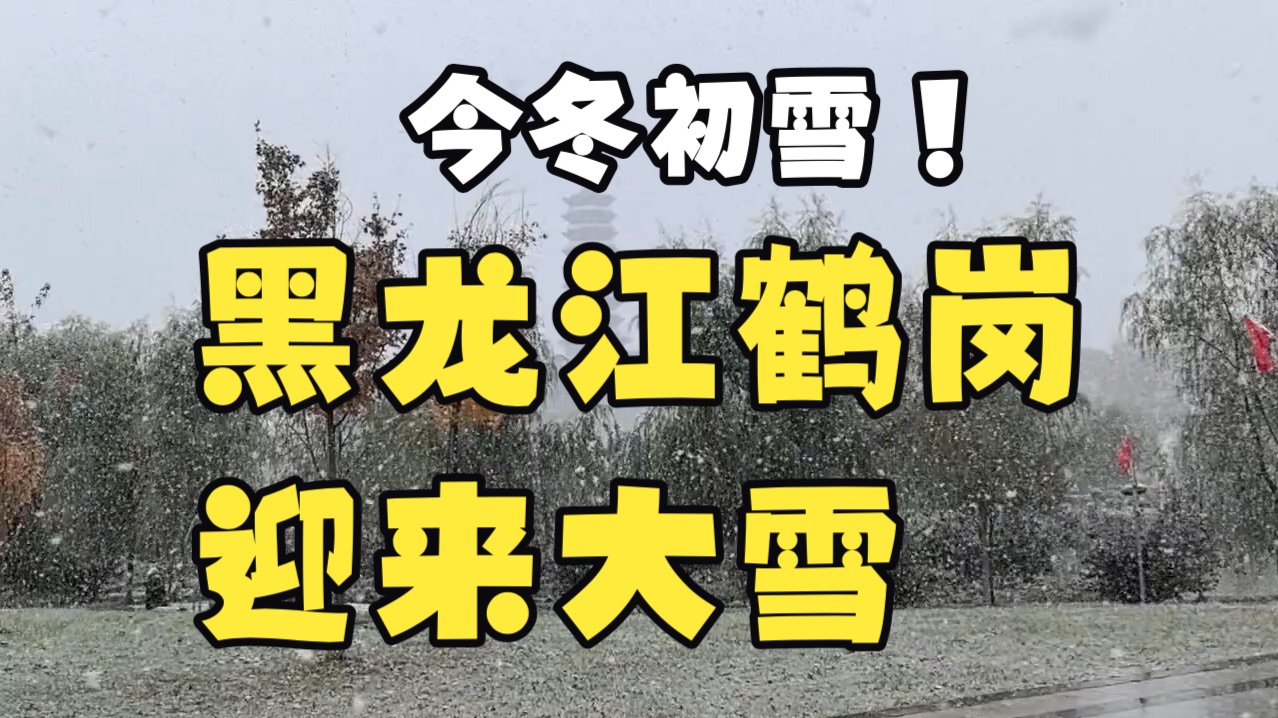 10月8日黑龙江鹤岗迎来下半年第一场雪！