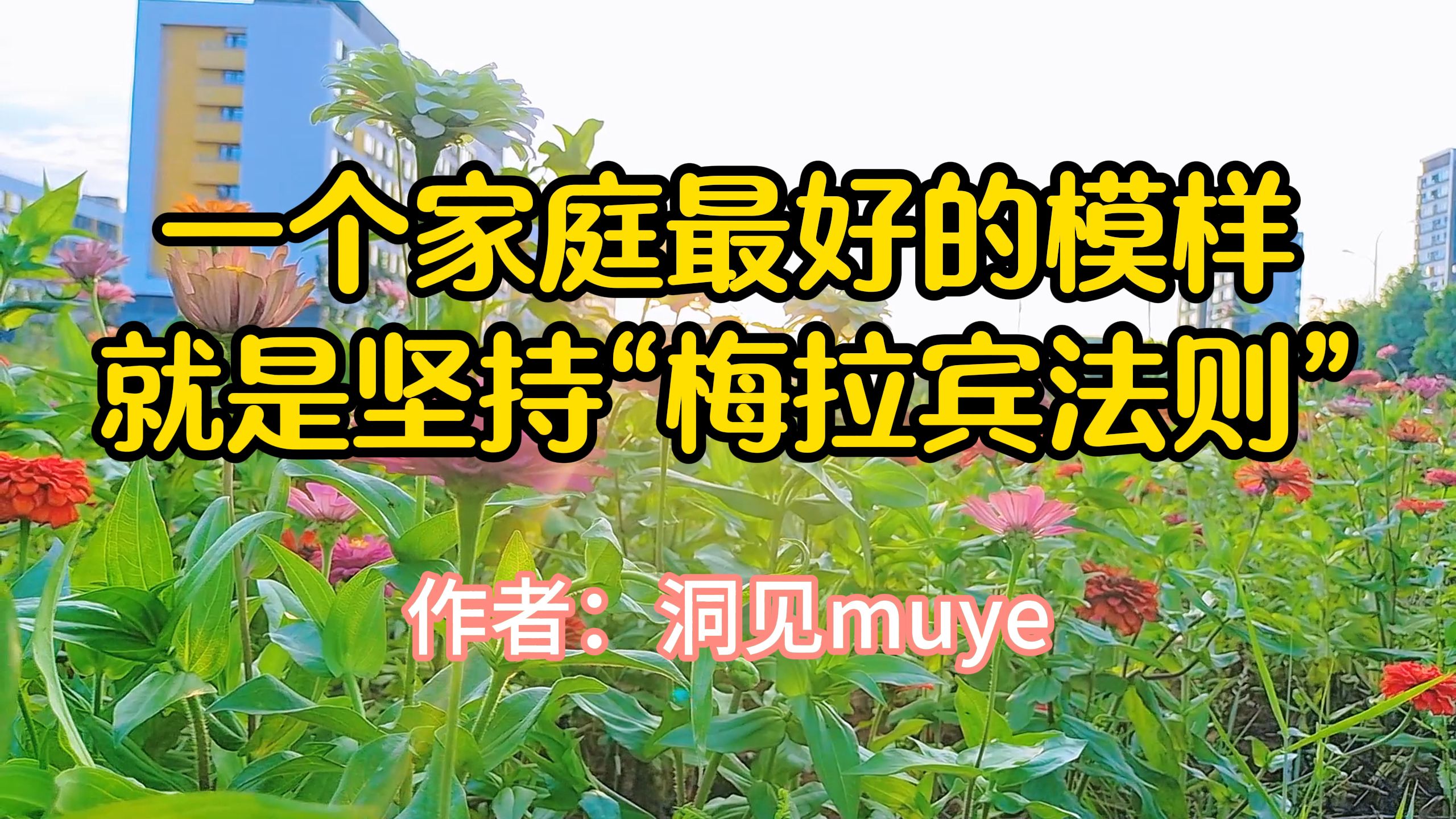 《一个家庭最好的模样,就是坚持“梅拉宾法则”》,洞见muye哔哩哔哩bilibili