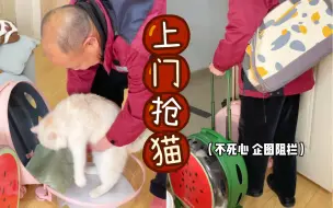 Video herunterladen: 我爸上门抢猫了！！