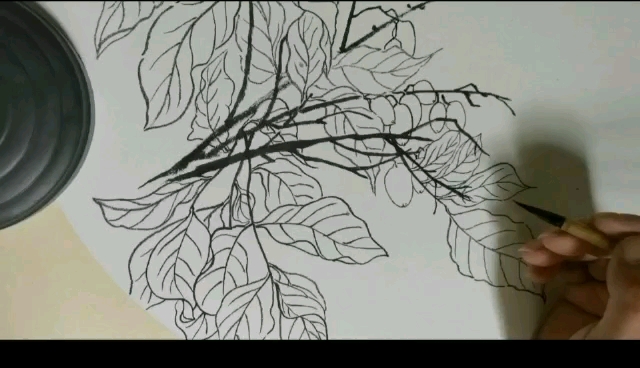 国画:黄皮树了哥