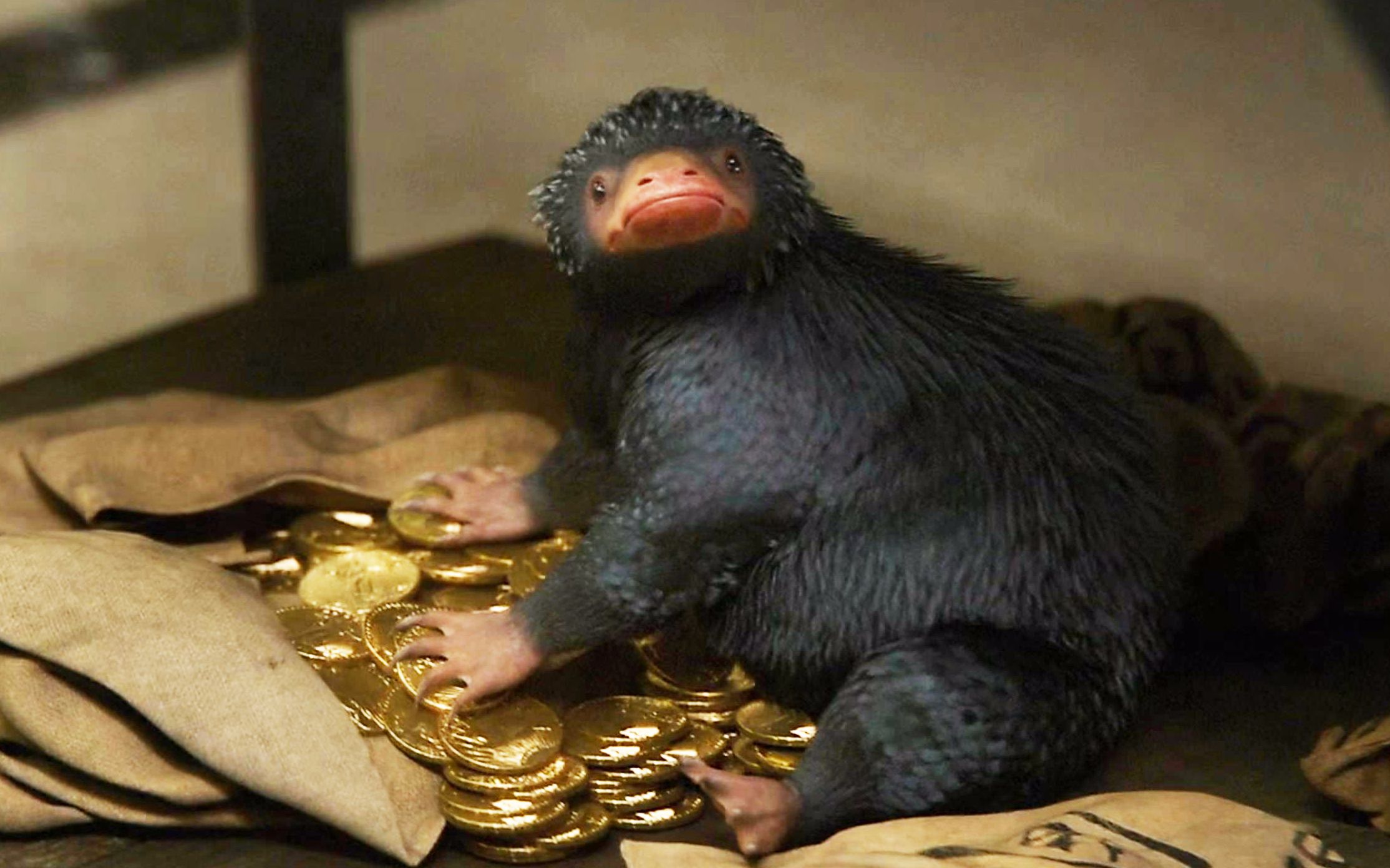 各种奇葩的宠物,但这种你肯定想养一只,都不用辛苦上班啦!