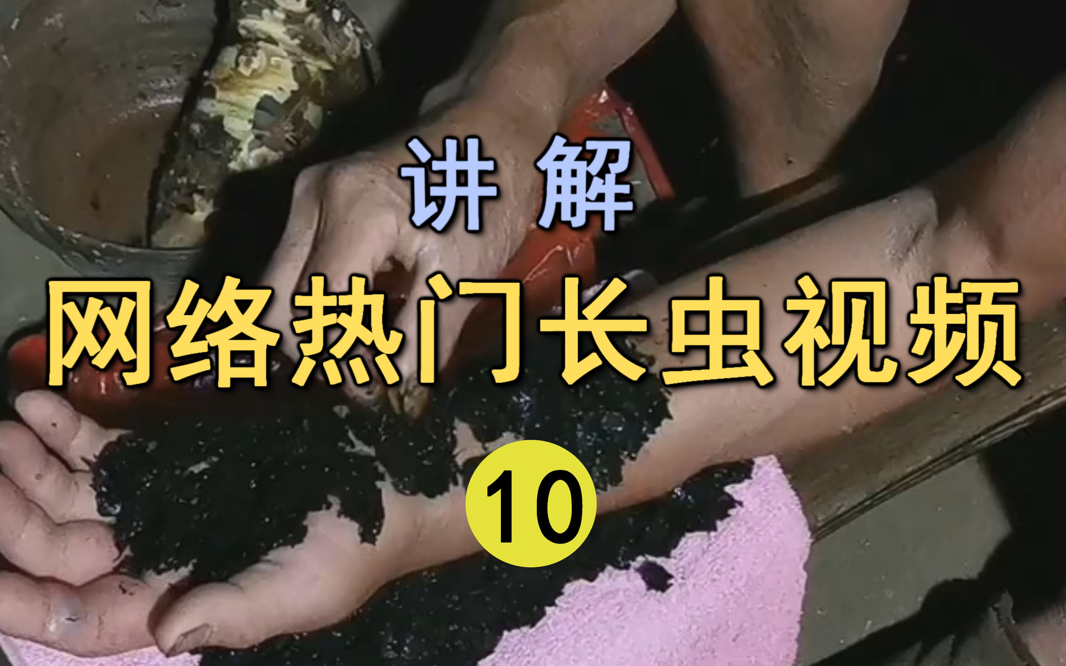 网络热门长虫视频(10)神秘中草药让人起死回生?你相信有吊打抗毒血清的民间神药吗?哔哩哔哩bilibili