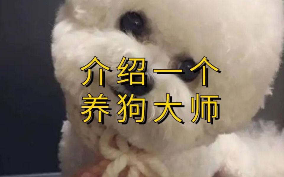 介绍一个你身边的养狗大师给你认识哔哩哔哩bilibili