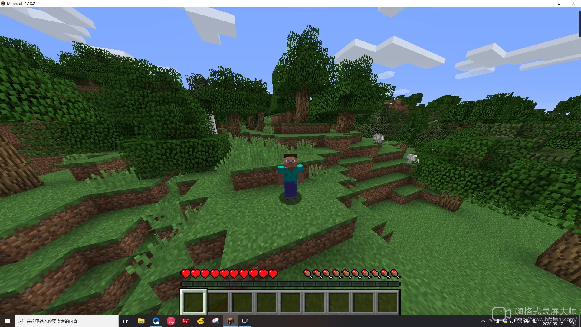 我的世界原版1.13生存     一个神奇的世界