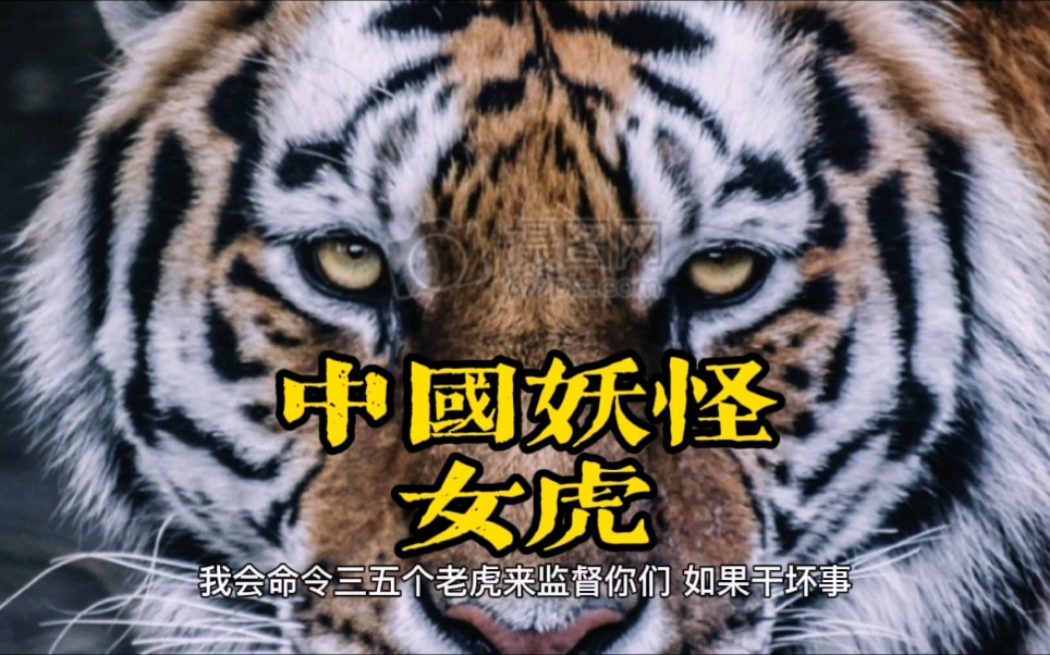 中国妖怪故事——女虎