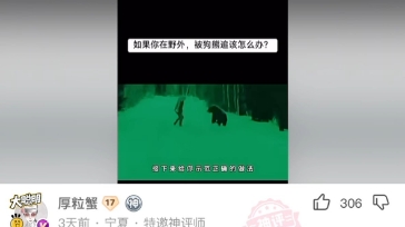 被熊追该咋办哔哩哔哩bilibili