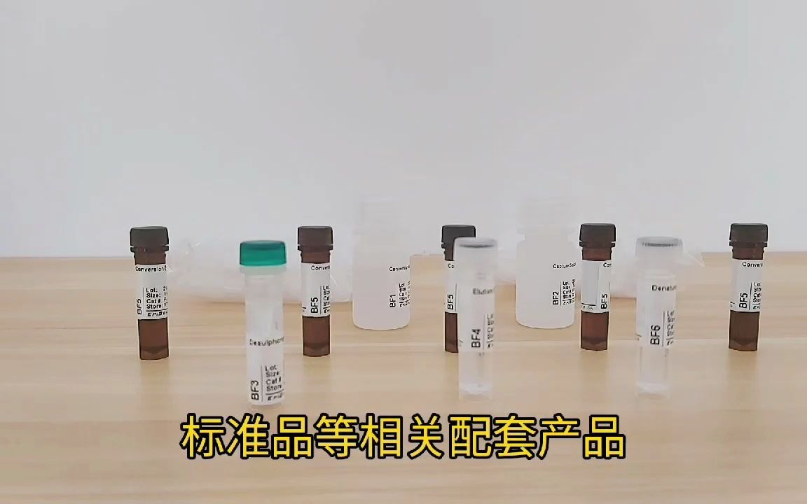 DNA甲基化极速修饰试剂盒哔哩哔哩bilibili