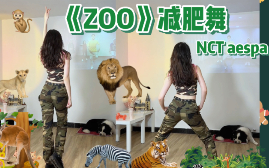 [图]脱 敏 训 练 《Zoo》谁陷入循环了了！NCT aespa吉赛尔 减肥燃脂舞 帅气暴汗 一遍跳爽 提高心率 减脂尊巴舞蹈教学Kpop全身暴汗3分钟