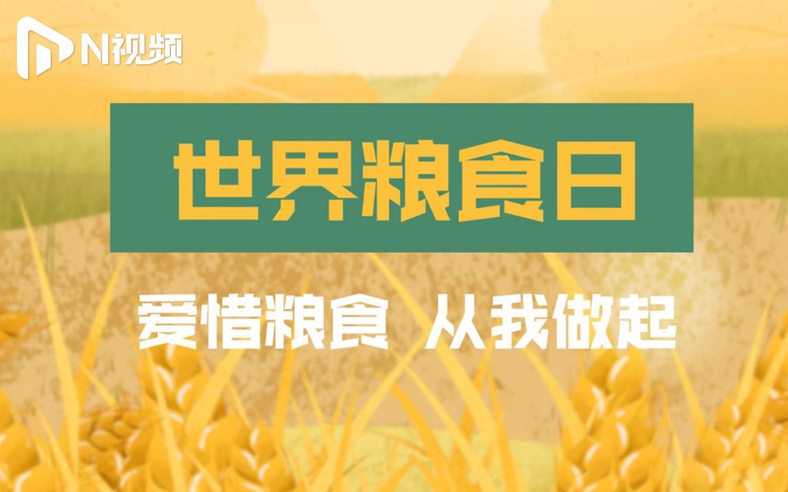 世界粮食日!40秒动画了解中国哪个省是“天下粮仓”哔哩哔哩bilibili