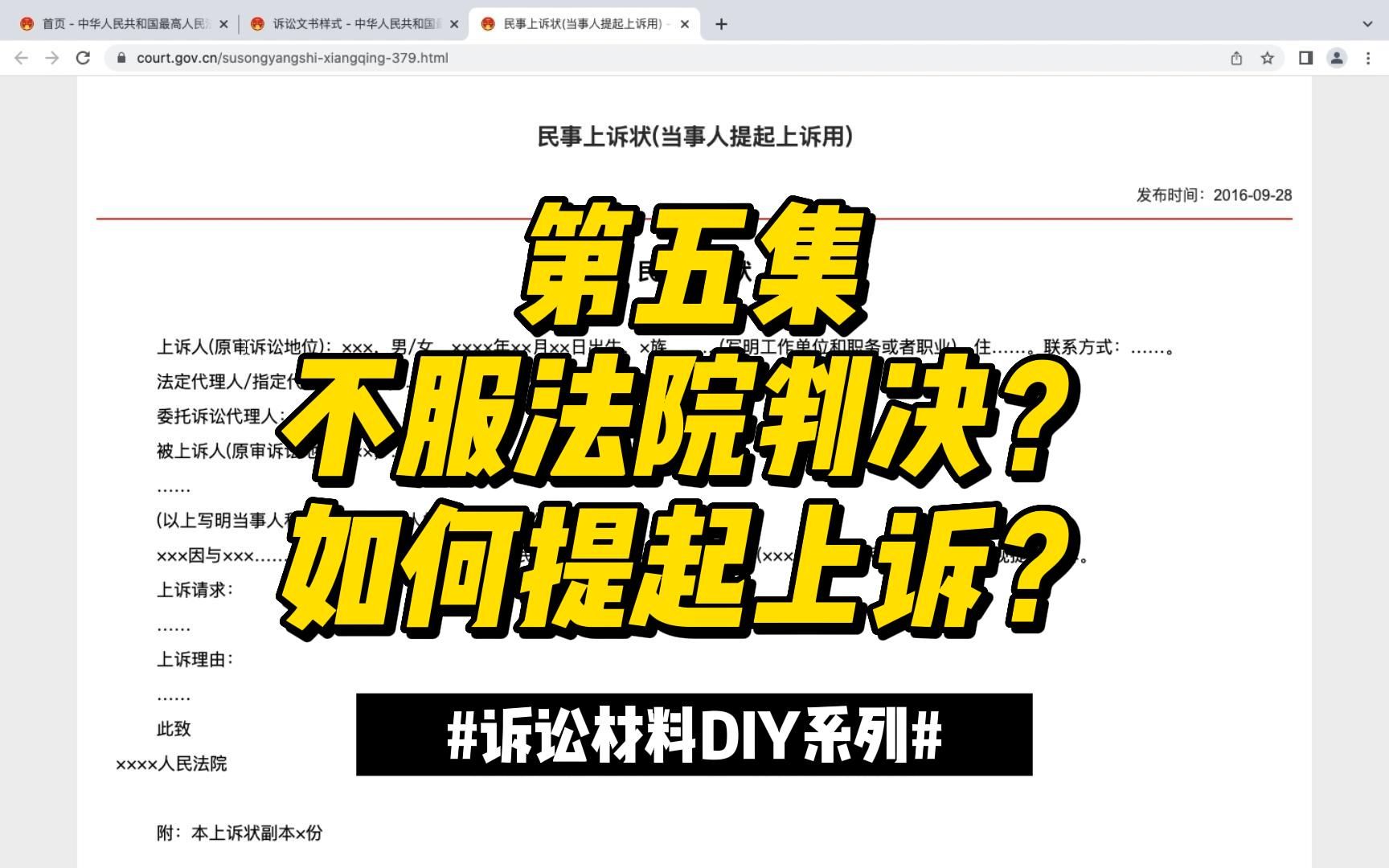 【诉讼材料DIY系列】05 不服法院判决?如何提起上诉?哔哩哔哩bilibili