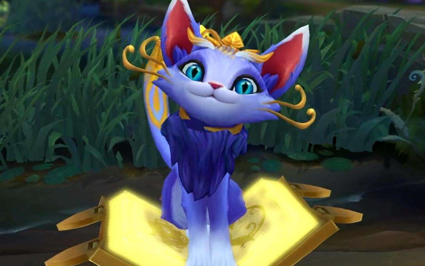 [无限火力]魔法猫咪套路手段极其残忍(受害视角)