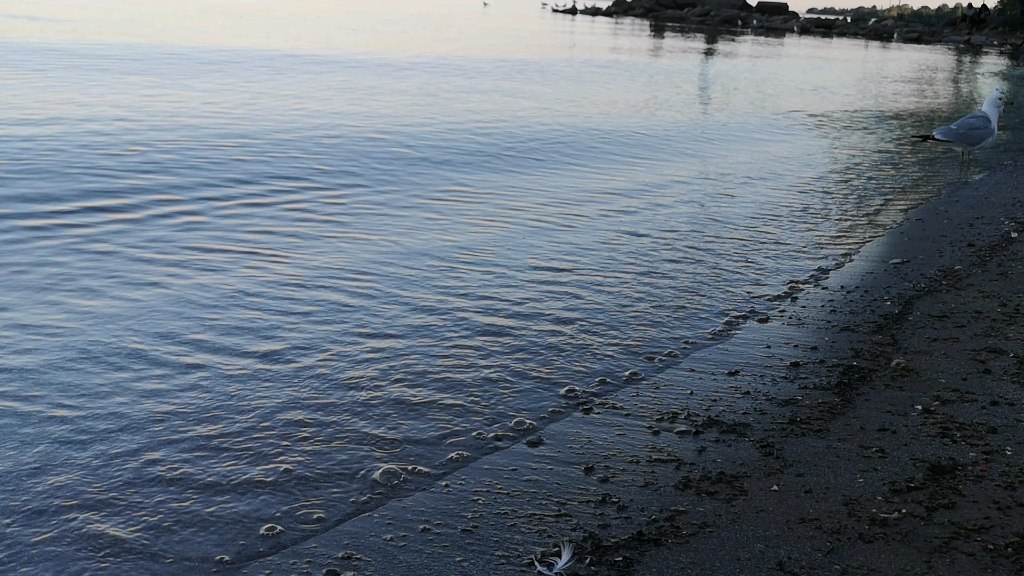 [图]Ontario lake，安大略湖畔