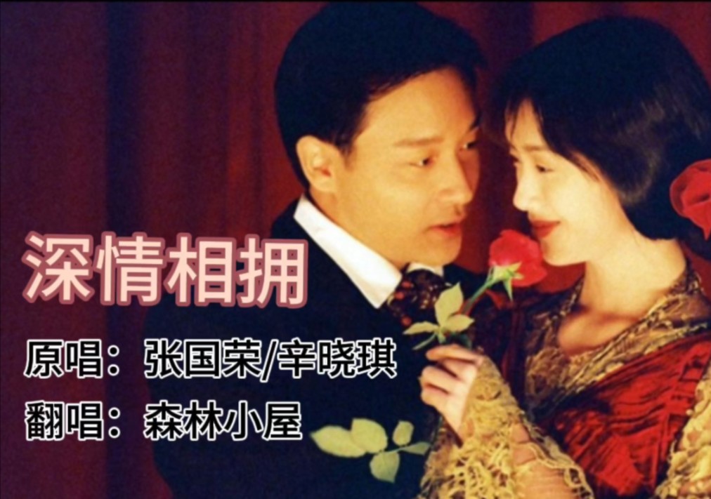 歌曲《深情相拥》原唱:张国荣/辛晓琪 翻唱:森林小屋