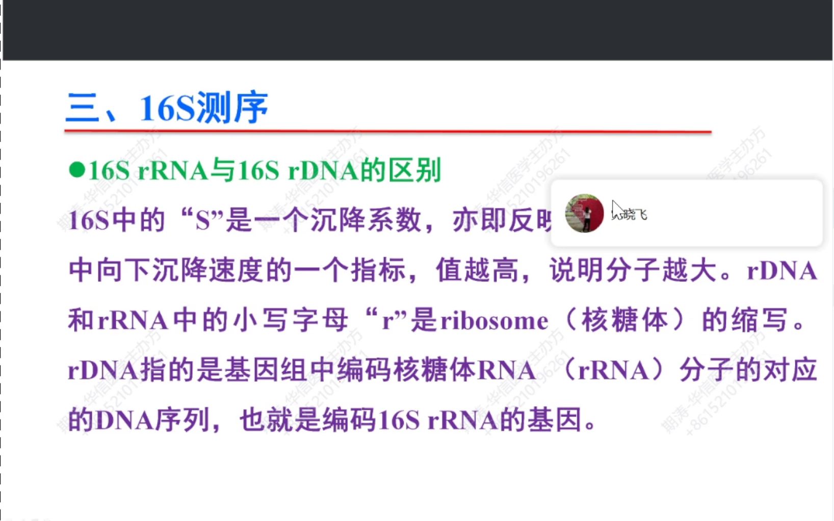 肠道菌群分析16SrRNA与16SrDNA的区别哔哩哔哩bilibili