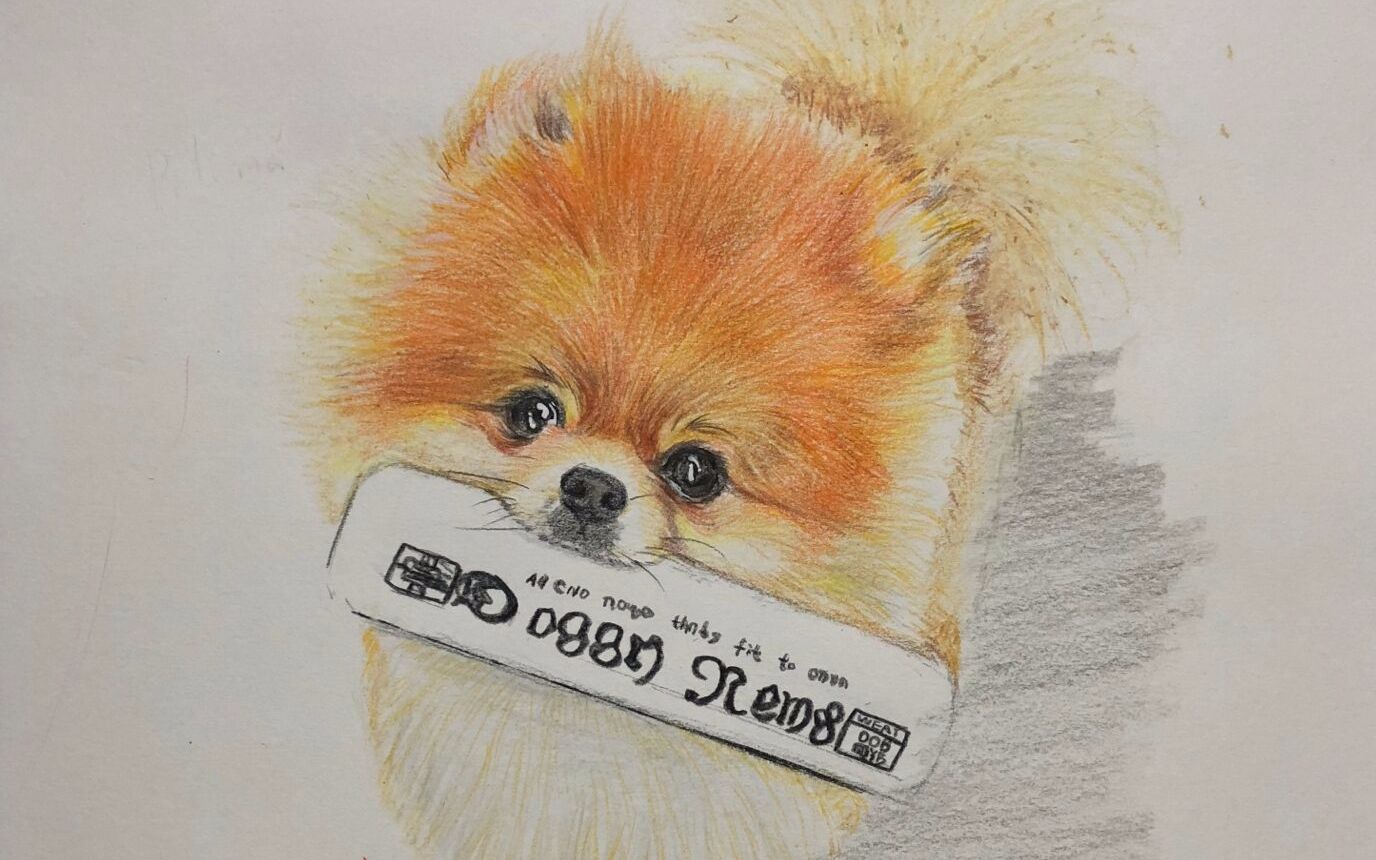 【彩铅手绘】博美小汪_哔哩哔哩 (゜-゜)つロ 干杯~-bilibili