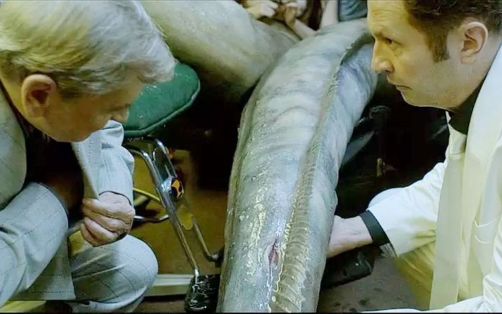 人鱼爱上渣男后,主动让人类检查身体,可渣男还是不信她能生孩子