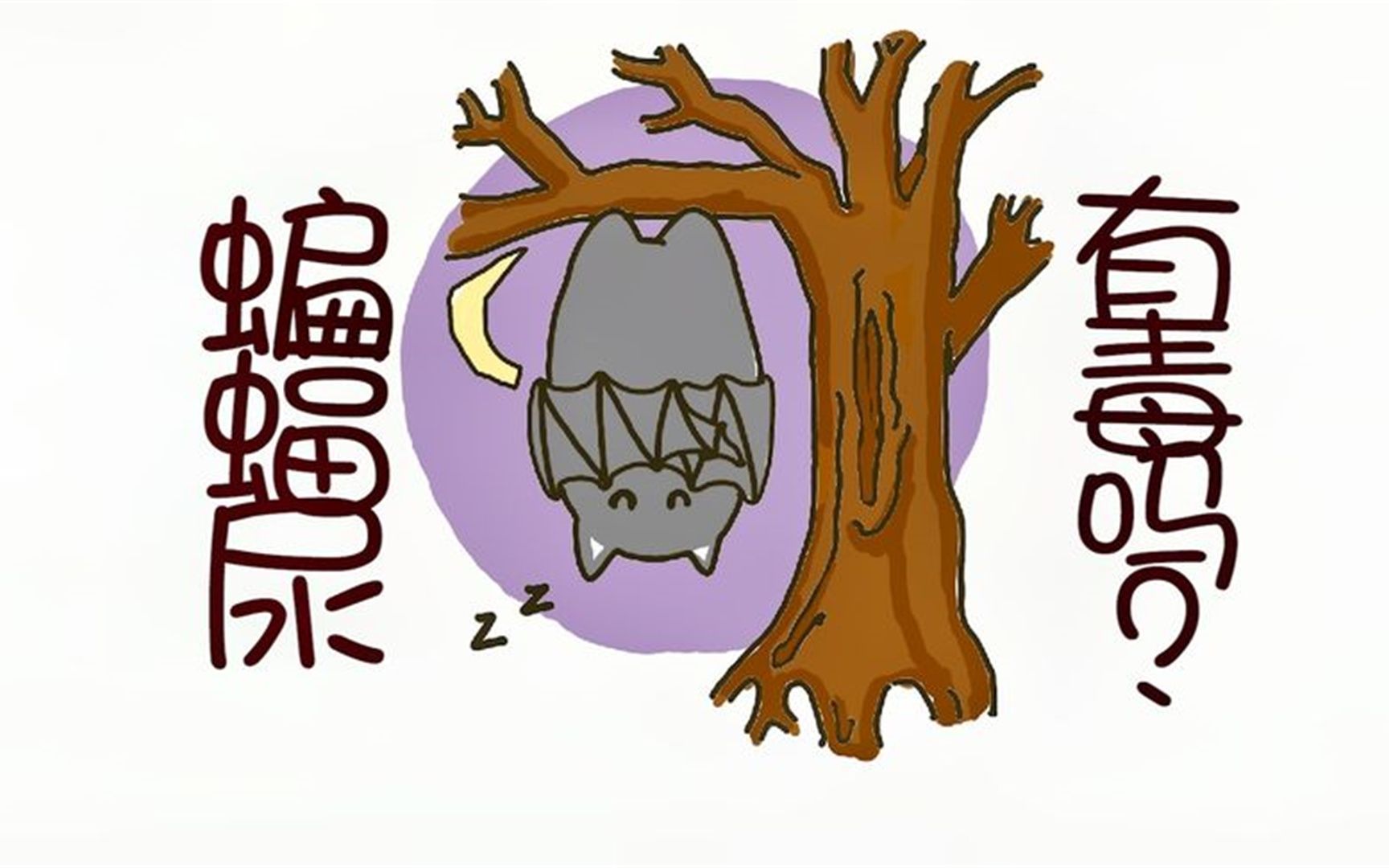 好奇心大作战:被蝙蝠尿呲了一脸,会毁容吗?