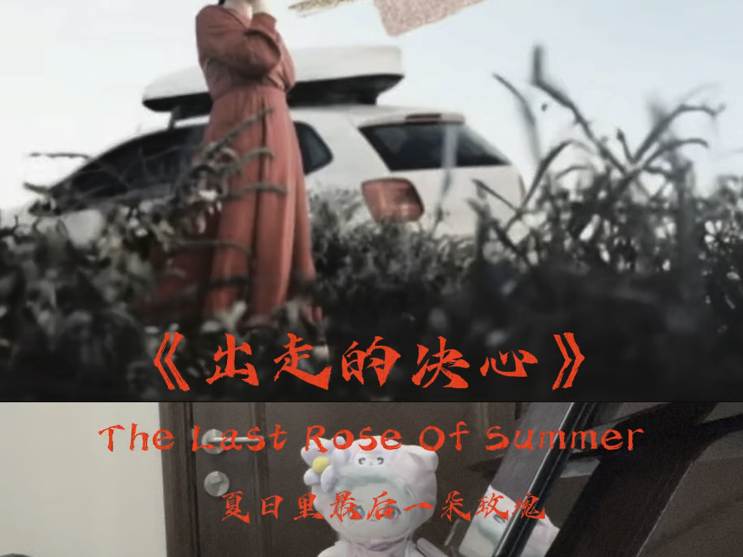 [图]电影《出走的决心》插曲《夏日里最后一朵玫瑰》钢琴版