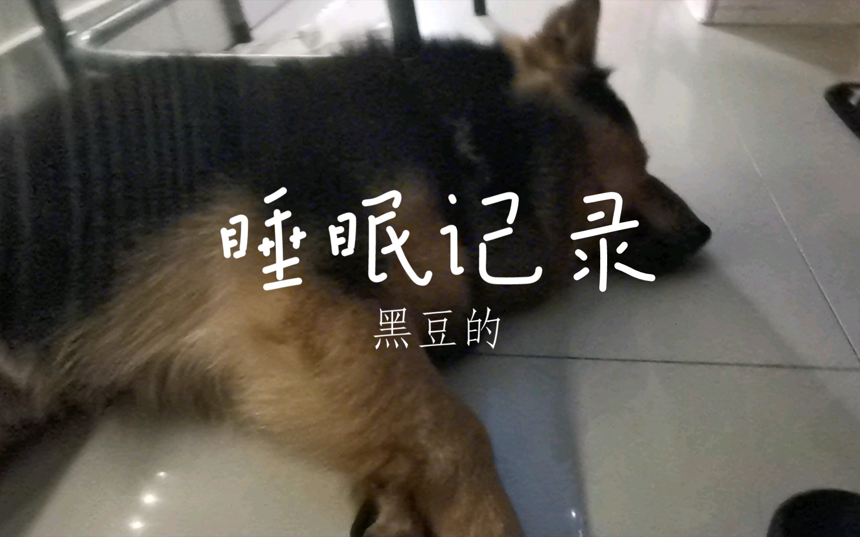 黑豆你醒啦?哔哩哔哩bilibili