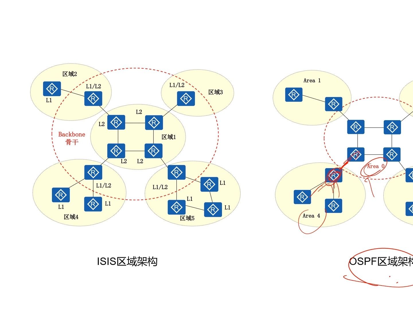 网络规划设计师/动态路由协议BGP ISIS②哔哩哔哩bilibili