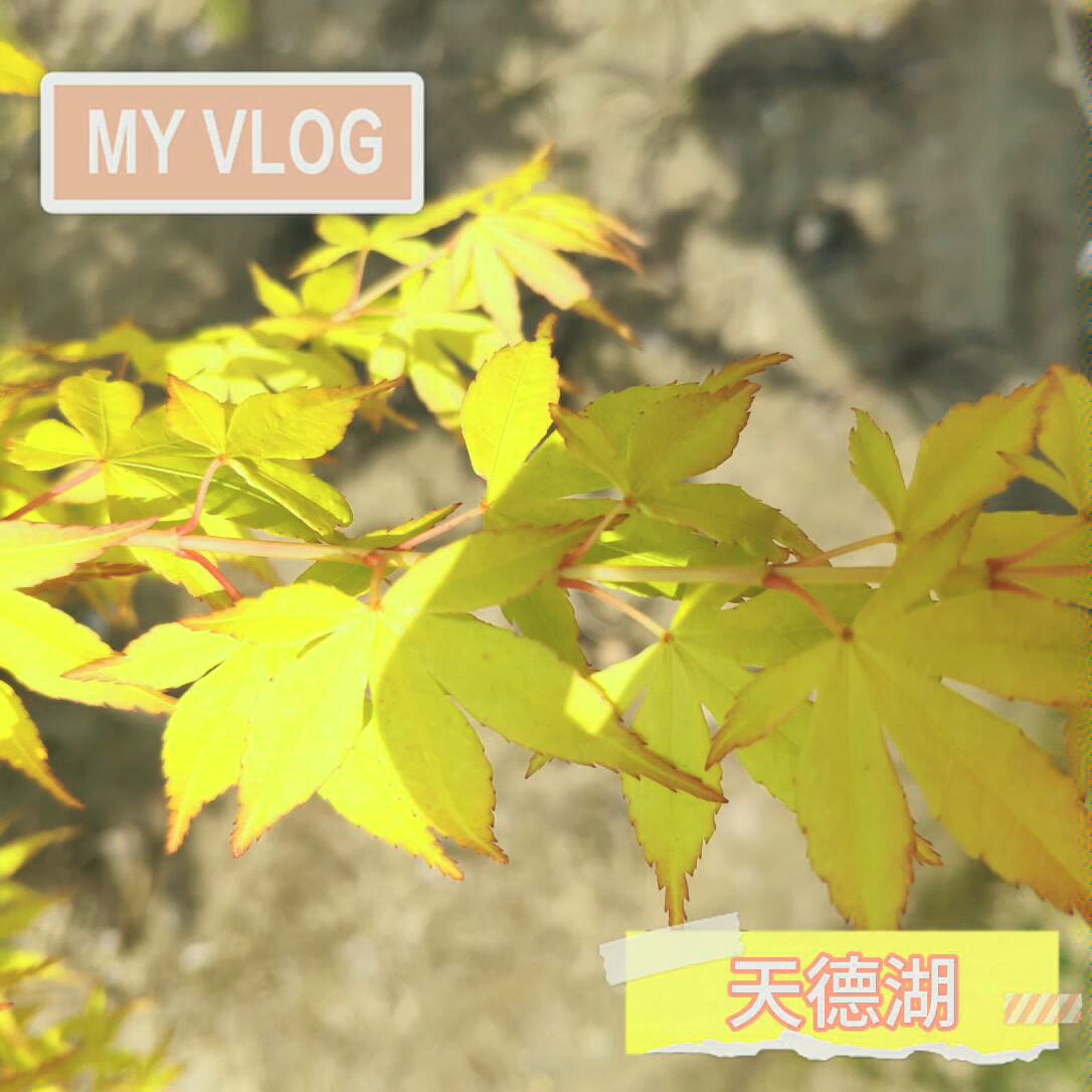 Vlog——天德湖公园哔哩哔哩bilibili