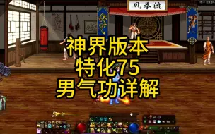 Download Video: 神界版本，男气功特化75装备搭配详解