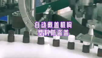 自动戴盖机构·塑料防盗盖