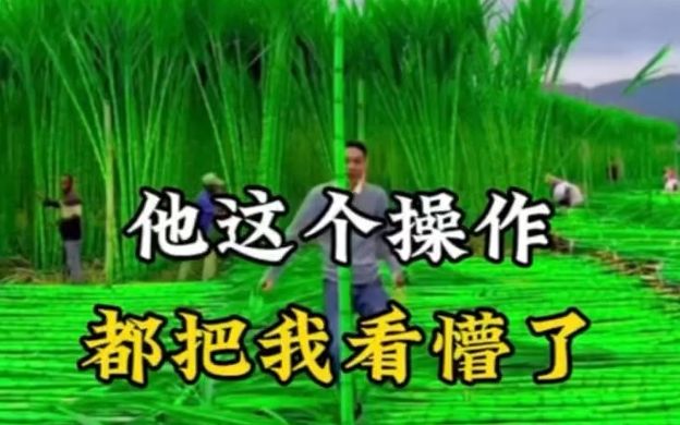 我们都知道视频是不可以P的,他这个操作,都把我看懵了哔哩哔哩bilibili