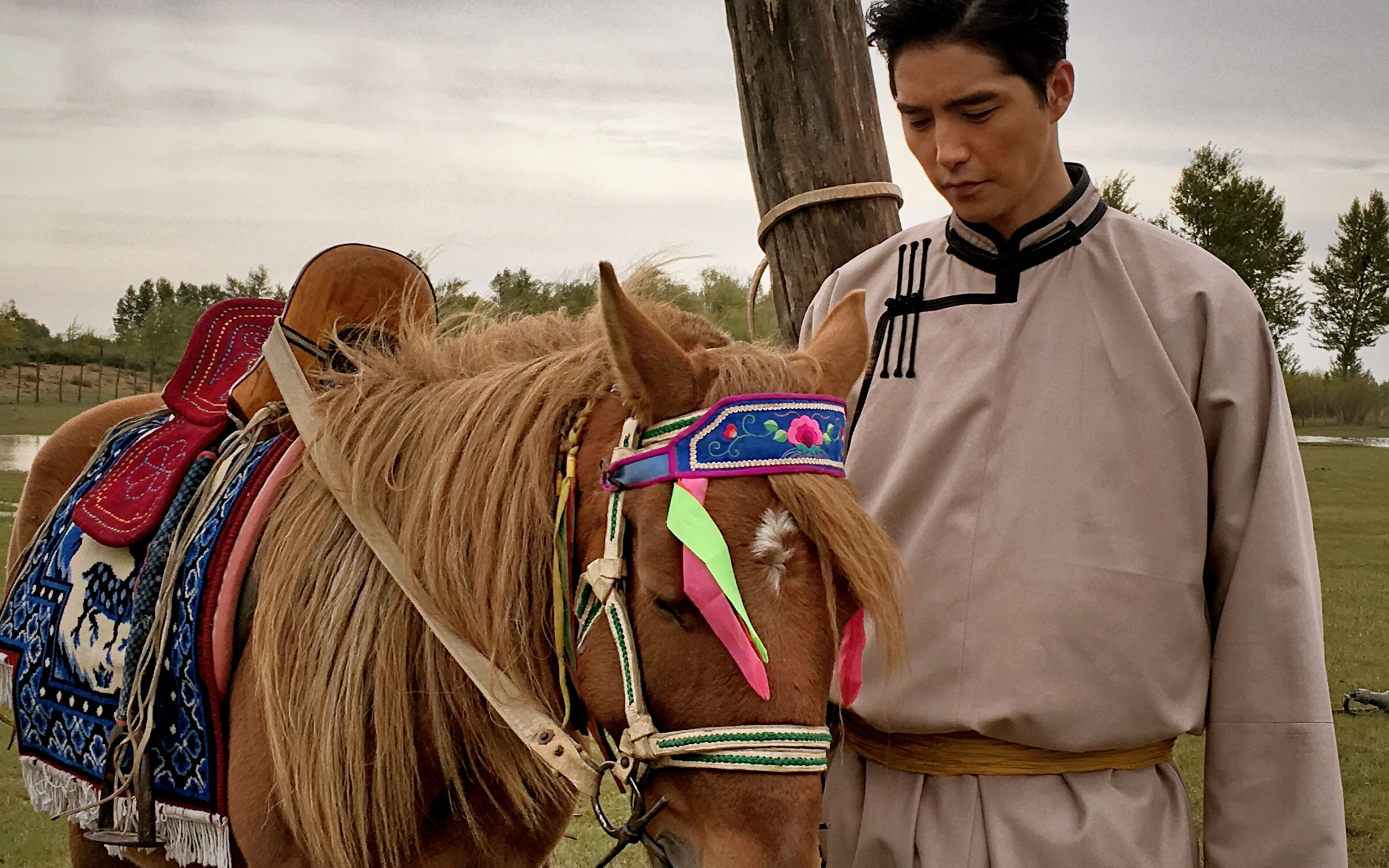 【阿云嘎】草原上飞出的雄鹰