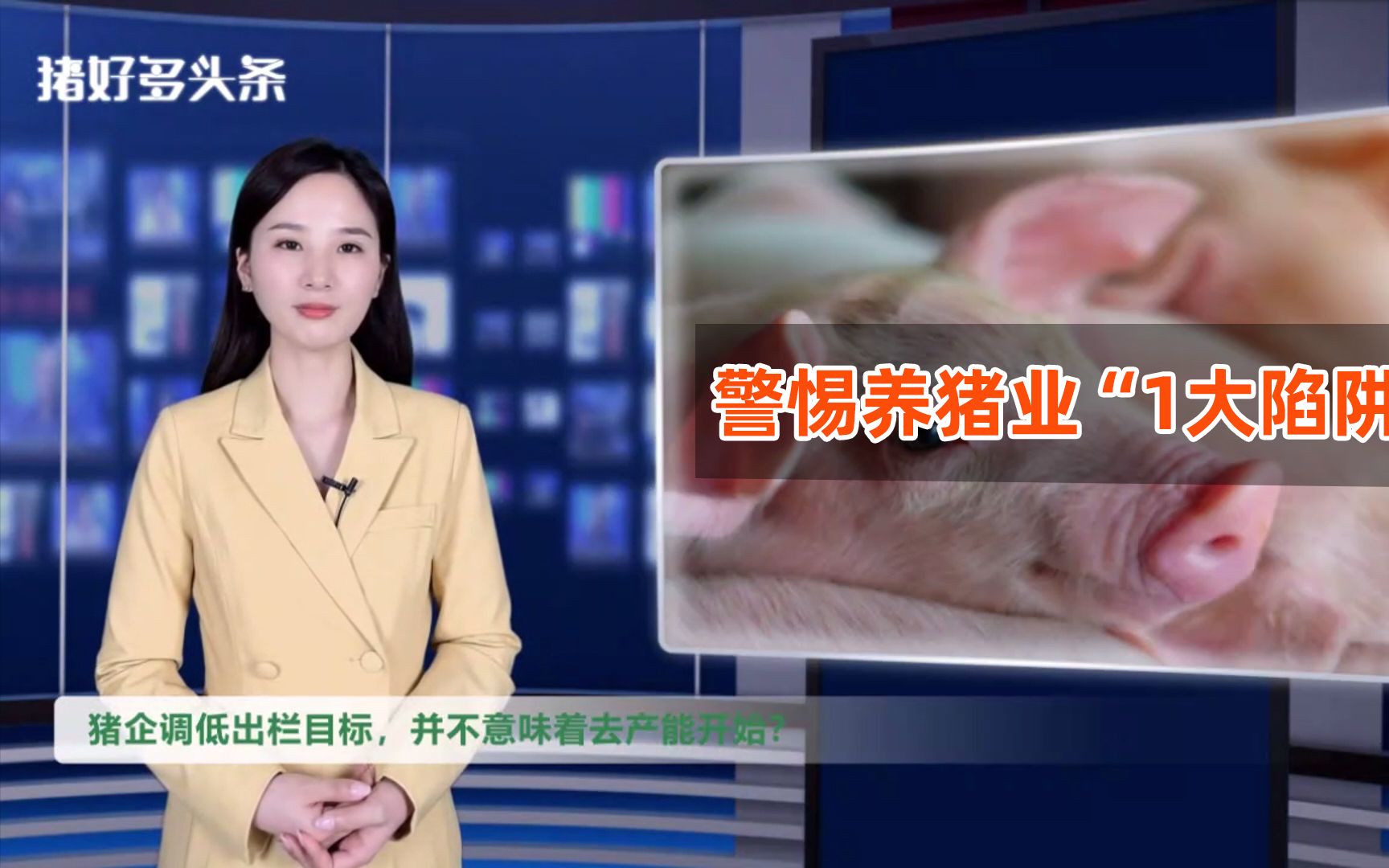 猪企调低出栏目标!是真的开始去产能?警惕养猪业“1大陷阱”哔哩哔哩bilibili