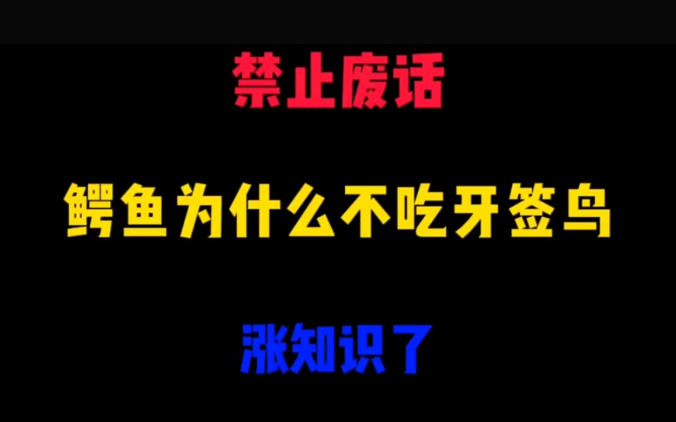 [图]禁止废话:鳄鱼为什么不吃牙签鸟