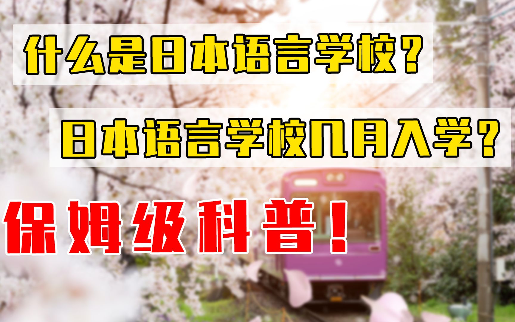 究竟什么是语言学校??哔哩哔哩bilibili