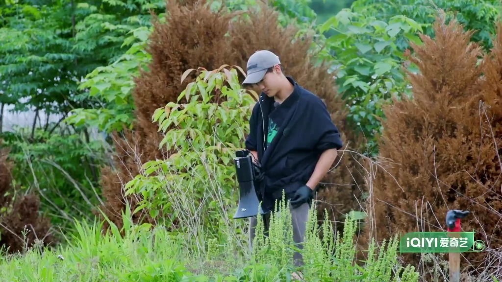 [图]陈少熙念经式感化白鹭 少熙：别吃了，我原谅你，你也放过我 白鹭：我能听你的