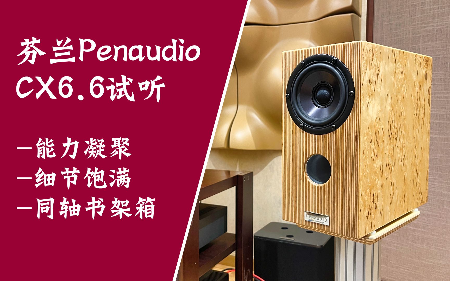 同轴音箱有哪些特点?昌业音响试听芬兰Penaudio CX6.6二十周年纪念版书架箱哔哩哔哩bilibili