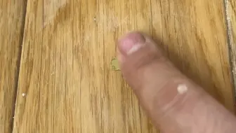 2分钟教会你如何修复木地板破损#家具维修培训 #木地板破损怎么修 #木地板修复#手艺活