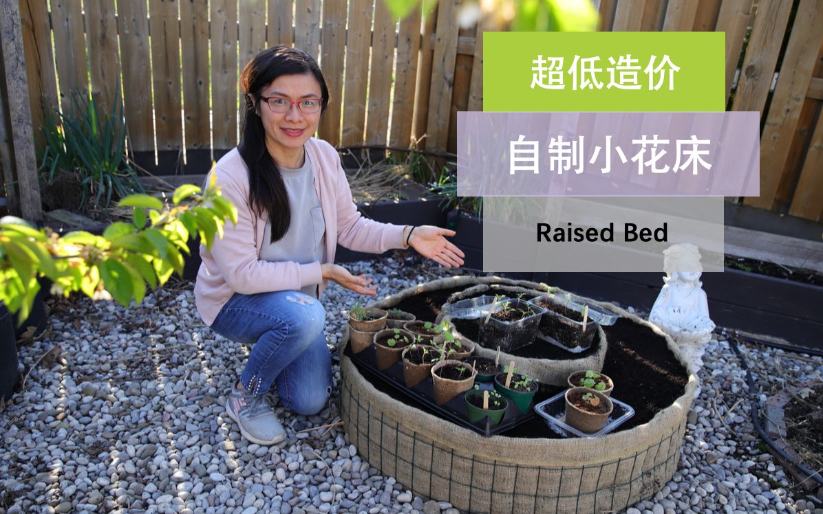 【Raised bed】109•园艺/自制超低造价小花床/菜床,不用翻土哔哩哔哩bilibili