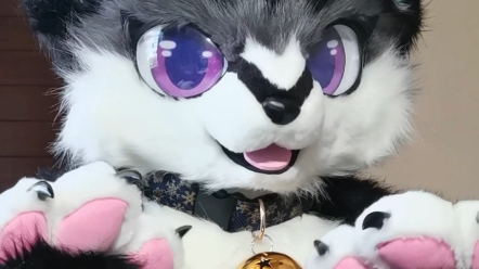 生活不易,兽兽卖艺