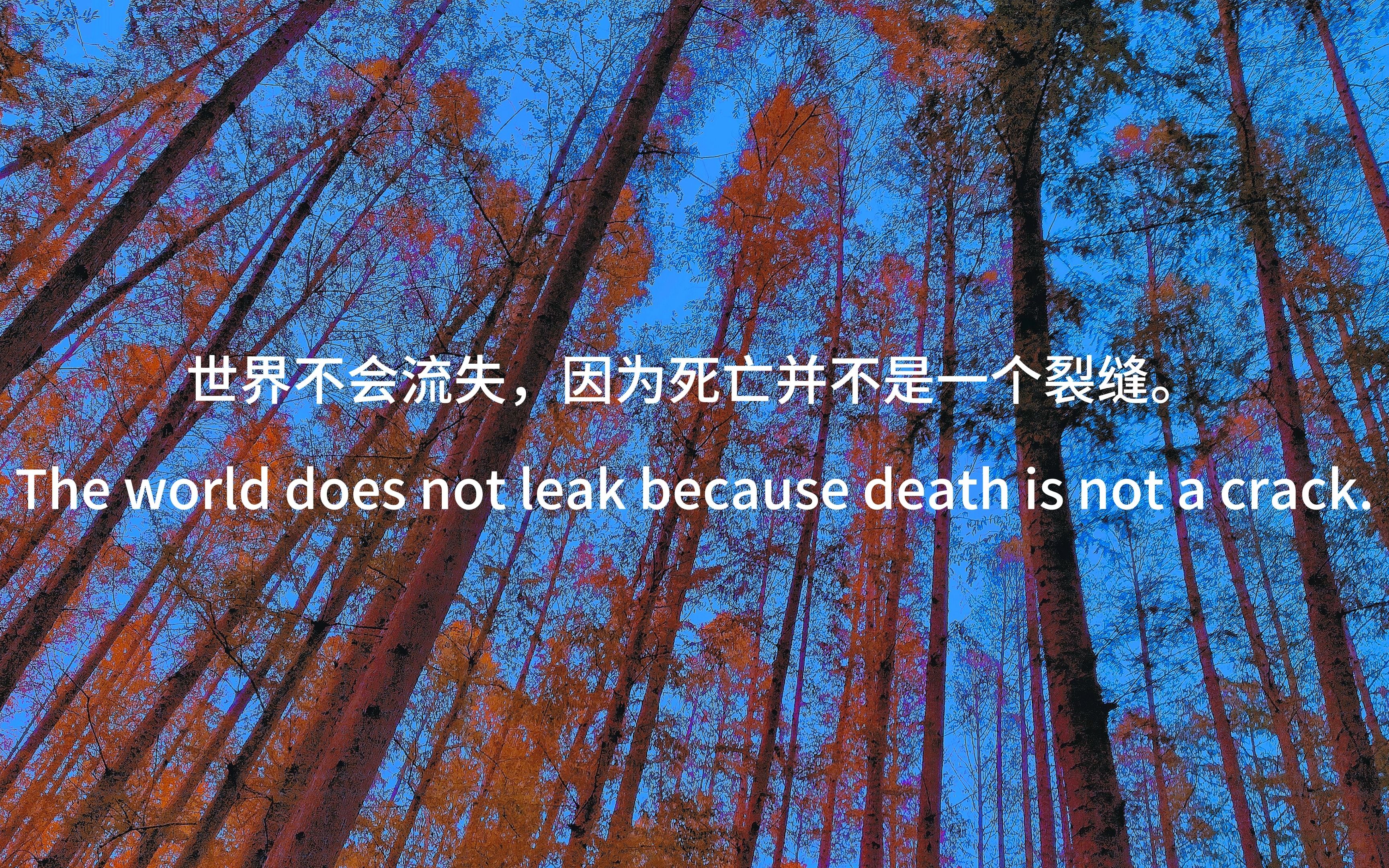 “我最喜欢的氛围感,有缘者赏析”——泰戈尔《流萤集》哔哩哔哩bilibili