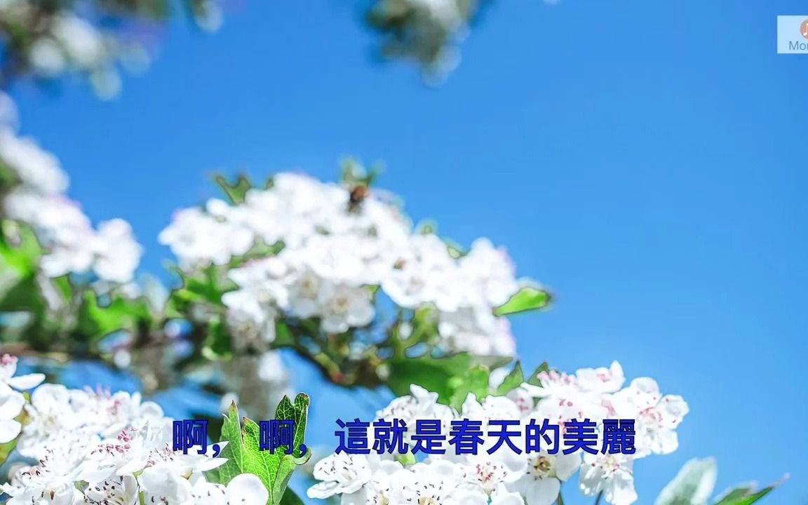 [图]春光美 張德蘭 十分懷舊的歌曲...