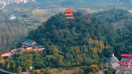 广西桂林市文化广电和旅游局局长喊话,邀小东北虎龙腾虎跃游桂林!#秋冬游广西正是好时节!哔哩哔哩bilibili