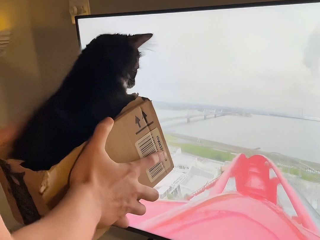 [图]tiktok小猫猫合集一则107