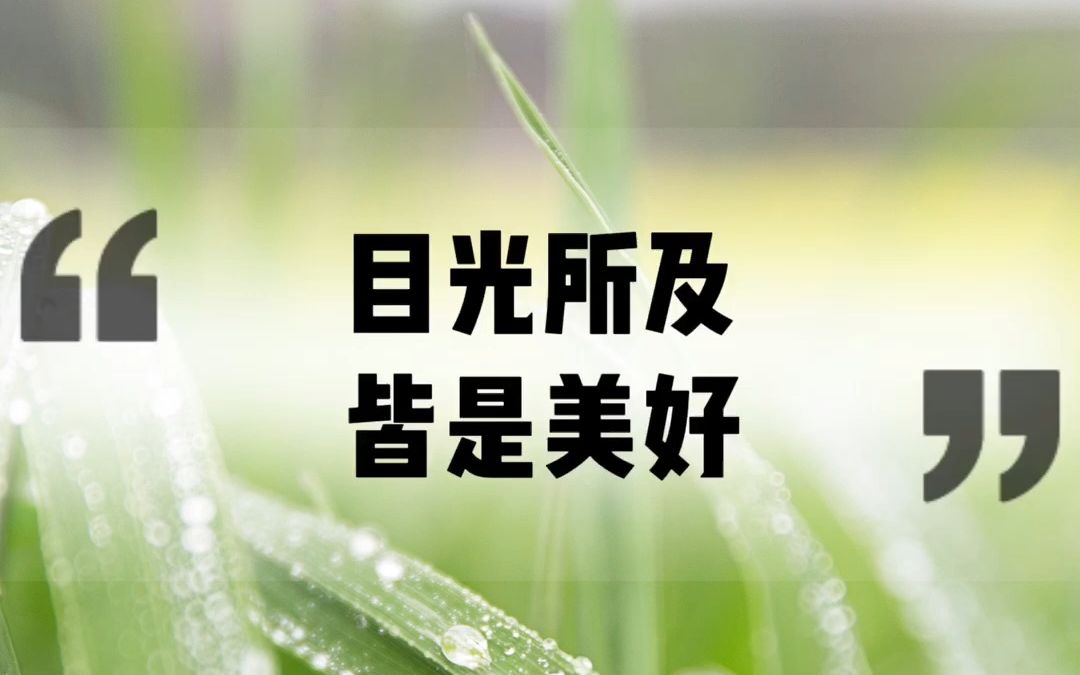 花很灿烂风也温柔,目光所及皆是美好.