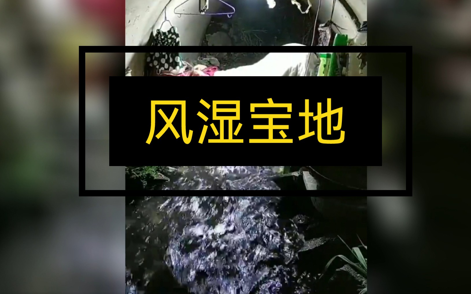 【白噪音/环境音】1小时 风湿宝地 氛围声哔哩哔哩bilibili