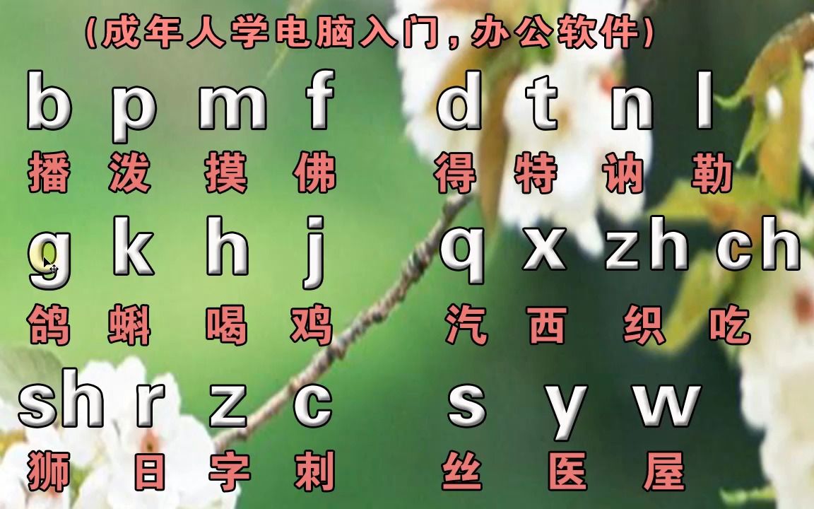 成人自學拼音打字看這裡零基礎學習拼音拼讀教學視頻打字不難