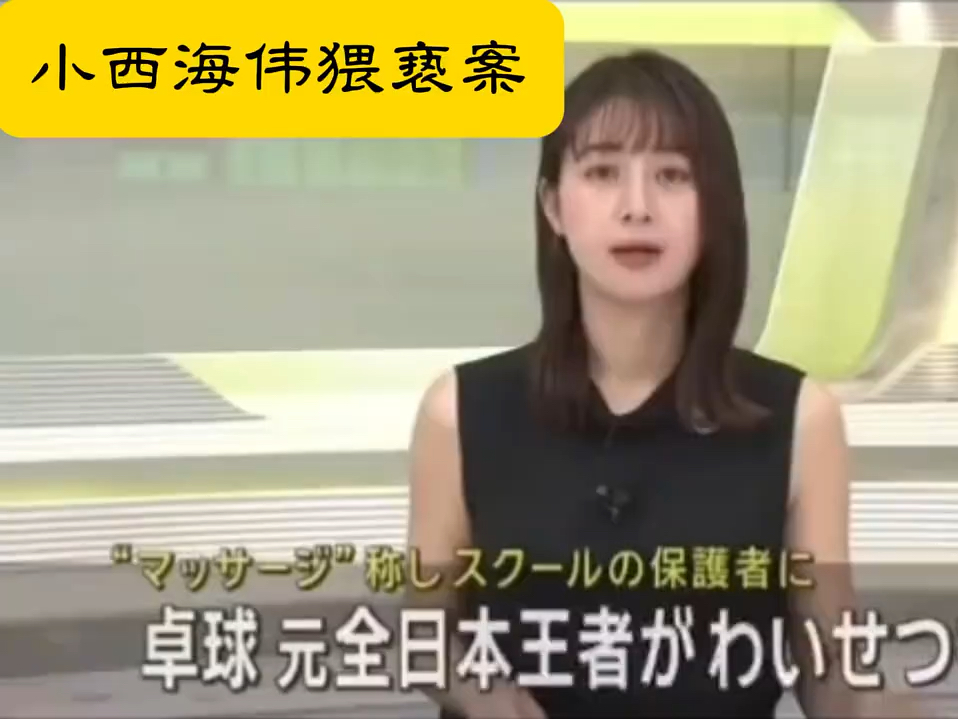 张本智和 乒乓球华裔日籍前辈 宋海伟 因猥琐罪行被判入狱哔哩哔哩bilibili